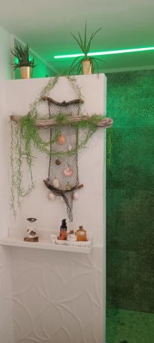 a shelf with some food on a white wall at Palazzo Emy in Lecce