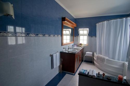 a blue bathroom with a tub and a sink at Quinta dos Afectos in São Vicente Ferreira