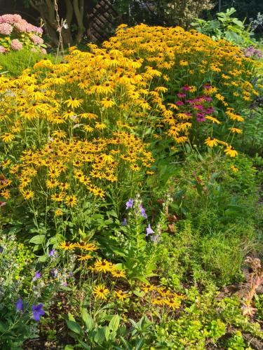 a garden filled with lots of yellow and purple flowers at Gemütliche Wohnung Kölner Norden in Cologne