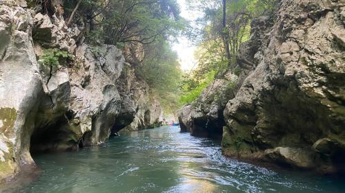 a river in a canyon with rocks in the water at B&B da Salvador in Papasidero