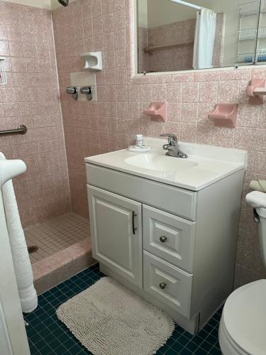a bathroom with a white sink and a shower at Venice Beach Villas in Venice