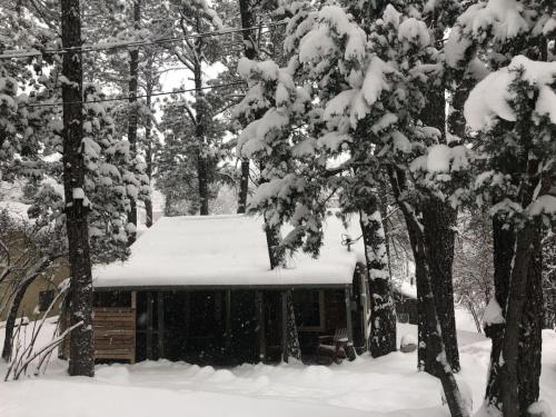 Una baita nel bosco con la neve sopra. di Ruidosos Midtown Retreat Cozy Cabin with AC a Ruidoso