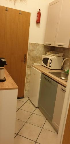 Studio apartment in Mali Losinj with terrace, air conditioning, WiFi, washing machine 4913-2