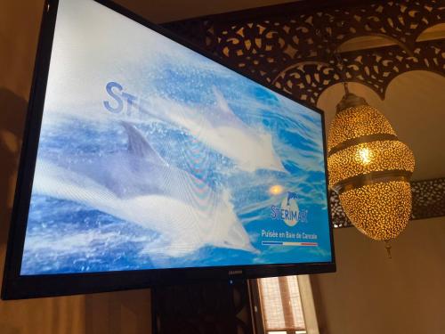 a tv with a screen with two white birds on it at SPA La Casa Blue in Wingles
