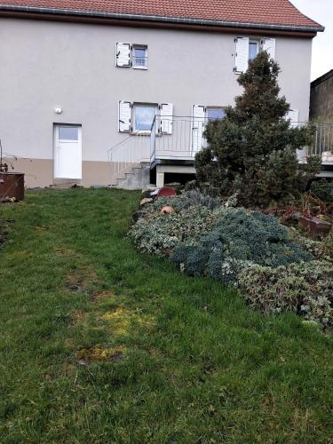 a yard in front of a house with a tree at Gîte LES PAPILLONS in Bining-lès-Rohrbach