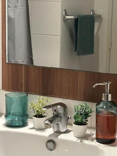 La salle de bains est pourvue d'un lavabo avec des plantes en pot et d'un miroir. dans l'établissement Studio situé à la gare proche Paris orly, à Quincy-sous-Sénart
