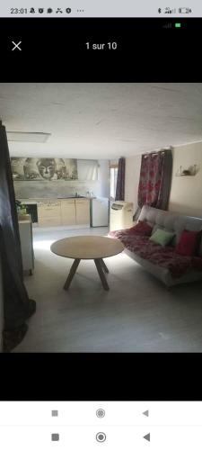 un salon avec un canapé et une table basse dans l'établissement Mobilhome vintage dans camping a la ferme, à Ponteilla