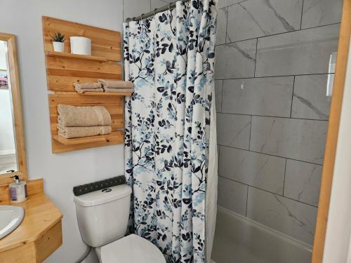 a bathroom with a shower curtain and a toilet at Quest Motel in Whitewood