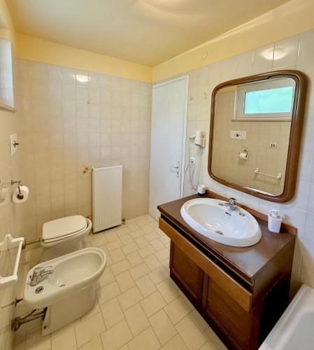a bathroom with a sink and a toilet and a mirror at Alloggio Agrituristico Ronchi Di Fornalis in Cividale del Friuli