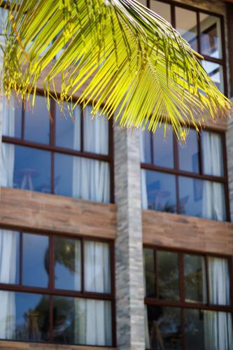 a close up of a palm tree in front of a building at Almareia Boutique Hotel in Praia dos Carneiros