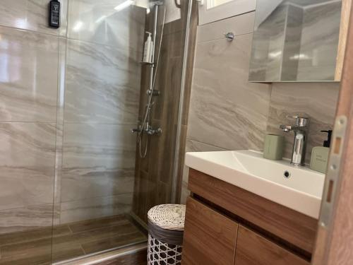 a bathroom with a shower and a sink and a toilet at Kona Apt Limenaria Thasos in Limenaria