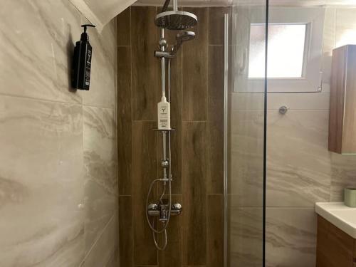 a shower with a glass door in a bathroom at Kona Apt Limenaria Thasos in Limenaria