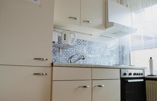 Kuchyň nebo kuchyňský kout v ubytování 4N Appartement