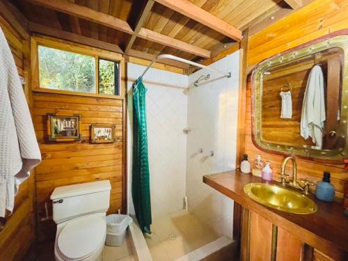 a bathroom with a toilet and a sink and a shower at Varsovia, casa de madera biblioteca in Guatavita