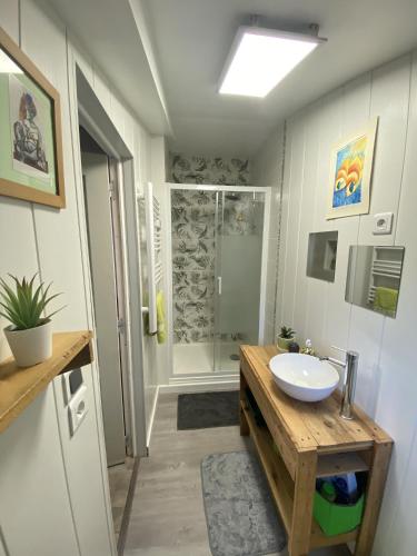 a bathroom with a sink and a shower at Chambre à la venelle in Caen