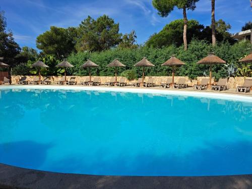 ein Swimmingpool mit Stühlen und Sonnenschirmen in der Unterkunft belles chambres toutes équipées bord de mer gérance nouvelle in San-Nicolao