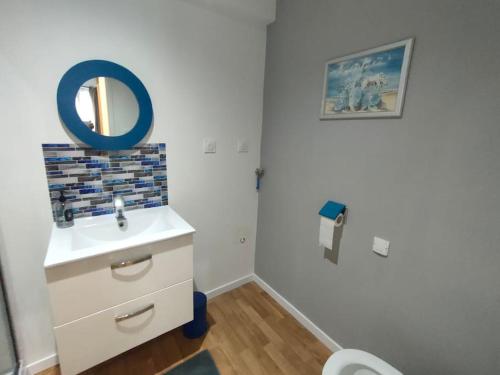 une salle de bain avec un lavabo et un miroir dans l'établissement Appartement central Villedieu, à Villedieu-les-Poêles