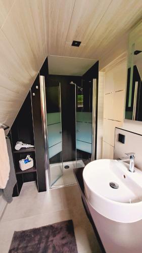a bathroom with a sink and a shower at Finnhütte Wagner - Urlaub am Thüringer Meer in Bad Lobenstein