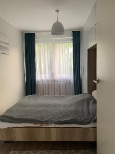 Przy nadmorskim lasku