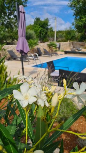 a purple umbrella next to a pool with white flowers at Villa Sidro Krk in Žgaljić