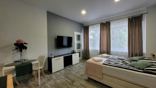 a bedroom with a bed and a tv and a table at Apartamenty Parkowe nr 4 in Kwidzyn