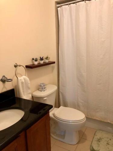 a bathroom with a toilet and a shower curtain at Lovely 2 Bedrooms Apartment in Scotch Plains