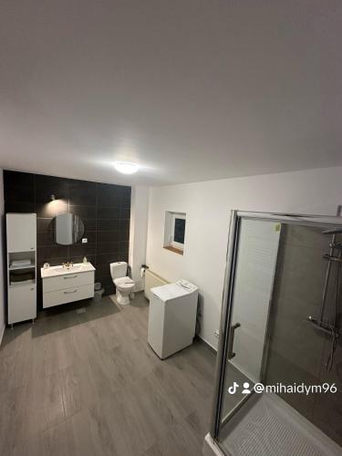 a bathroom with a shower and a toilet and a sink at Azuga Home in Azuga