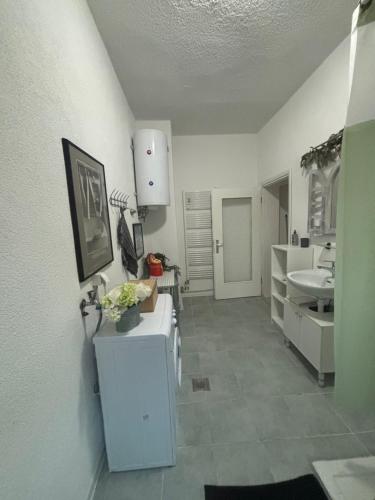 Kuchyň nebo kuchyňský kout v ubytování Apartment Naki