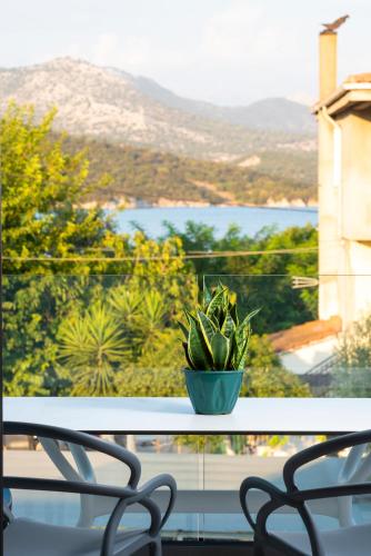 a plant in a pot sitting on top of a table at Avali Deluxe Apartments in Lygia