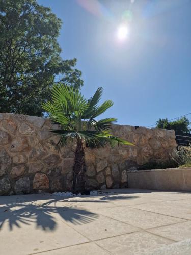a palm tree sitting next to a stone wall at Villa Sidro Krk in Žgaljić