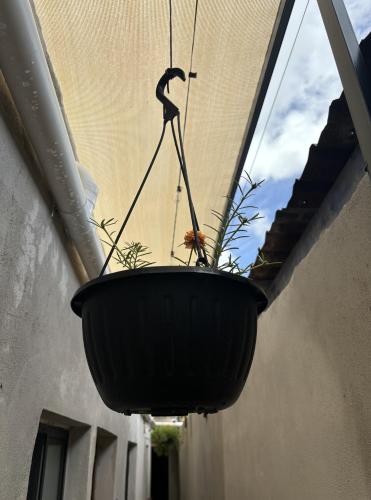 a large pot hanging from a ceiling with a plant at Casa Ufemia in Mérida