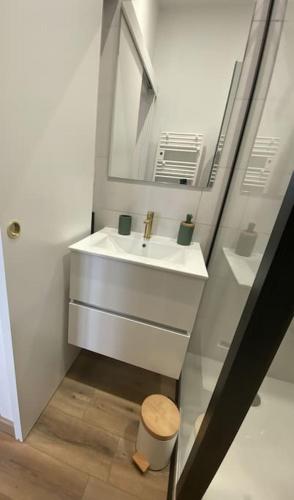 une salle de bain avec un lavabo et un miroir dans l'établissement Appartement vue Port, à Perros-Guirec