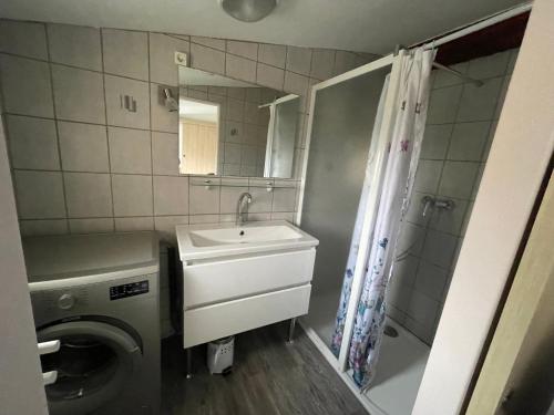 a bathroom with a sink and a washing machine at La cigale des cantarelles in Mornas