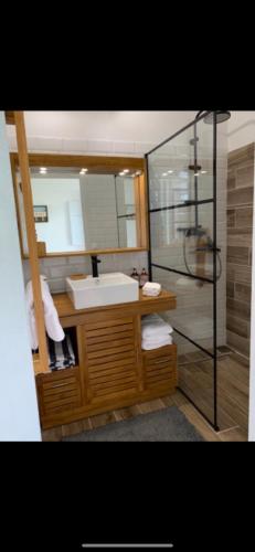 a bathroom with a sink and a glass shower at Blueshell in Saint-François