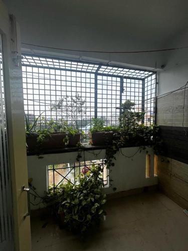 a room with potted plants on a shelf in front of a window at SSV Home stay in Tirupati