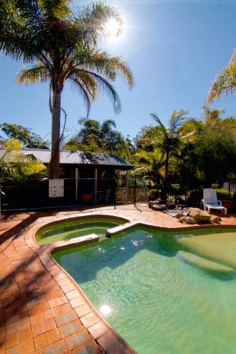 a swimming pool in a yard with a palm tree at Fairway Motor Inn in Merimbula