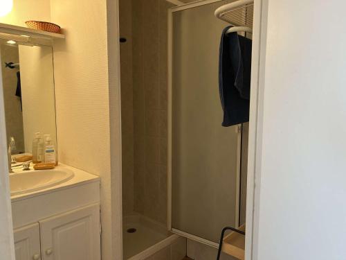 une salle de bain avec une douche, un lavabo et un miroir dans l'établissement Appart 2P/Cabine, 4 Couchages, Plage, Parking, Animaux admis - FR-1-225C-149, à Cerbère