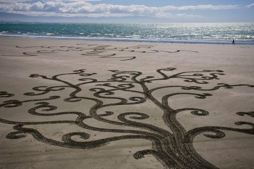 a drawing of a tree in the sand on a beach at Tahuna Beach Oasis in Nelson