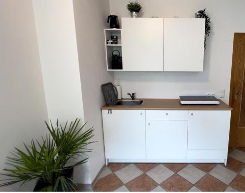 Kuchyň nebo kuchyňský kout v ubytování Palmen Apartment direkt in Bad Aibling
