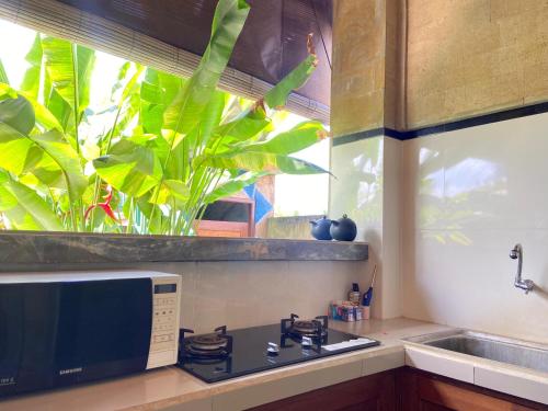 a kitchen with a stove and a window with plants at Tap One Villa Ubud in Ubud