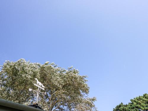 a tree with a blue sky in the background at Lymington Lodge in Lymington