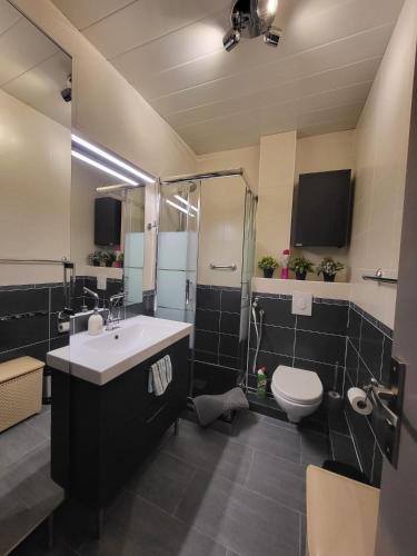 une salle de bain avec un lavabo et des toilettes dans l'établissement 2 bd 16th Arrondissement Trocadero Sleeps 4 to 6 Eiffel Tower, à Paris