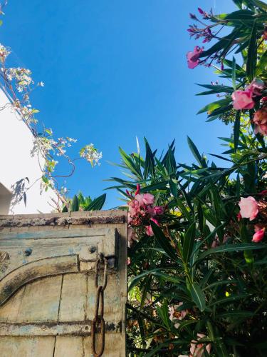 Κήπος έξω από το Le Jardin des Portes