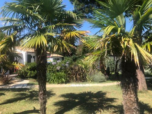 Κήπος έξω από το Le Jardin des Portes