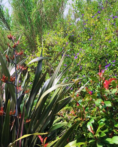 Κήπος έξω από το Le Jardin des Portes