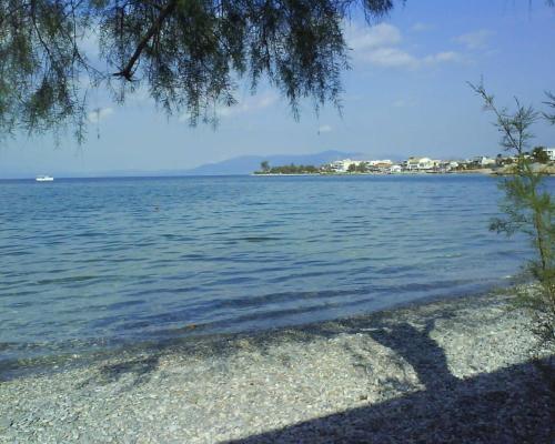 Φυσικό τοπίο κοντά σε αυτό το διαμέρισμα