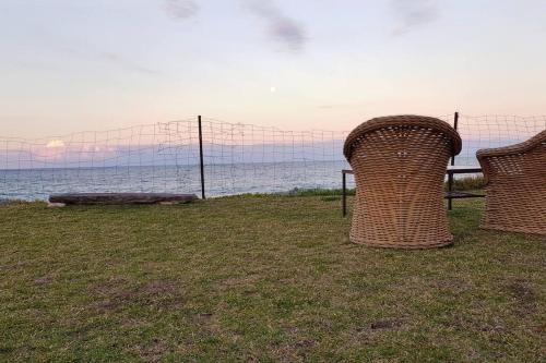 two wicker chairs sitting on the grass near the ocean at Homely Beachfront Apartment with Direct Beach Access - The Coachhouse in Narrabeen