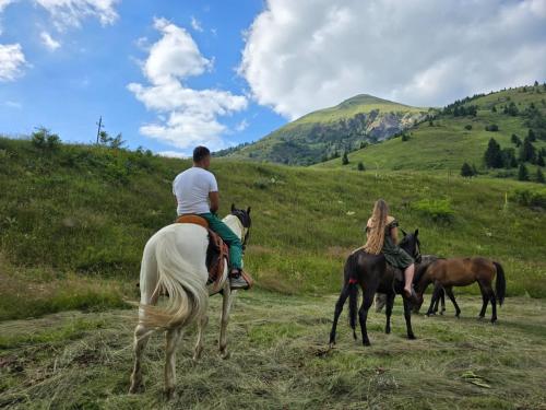 a man riding a horse in a field with three horses at Eko Katun Hako in Dubočak