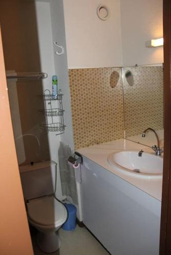 une salle de bain avec toilettes et lavabo dans l'établissement Studio Cabine Pied de Piste La Mongie, à Bagnères-de-Bigorre