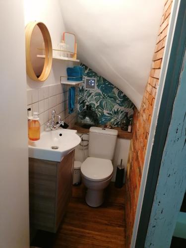 une salle de bain avec toilettes et lavabo dans l'établissement Chambre chez l habitant avec petit déjeuner, à Moussy-le-Vieux